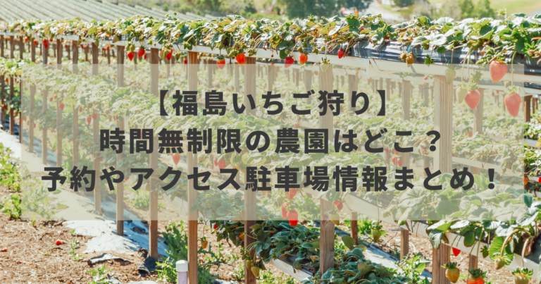 【福島いちご狩り2022】時間無制限の農園はどこ？予約やアクセス駐車場情報まとめ！イメージ画像